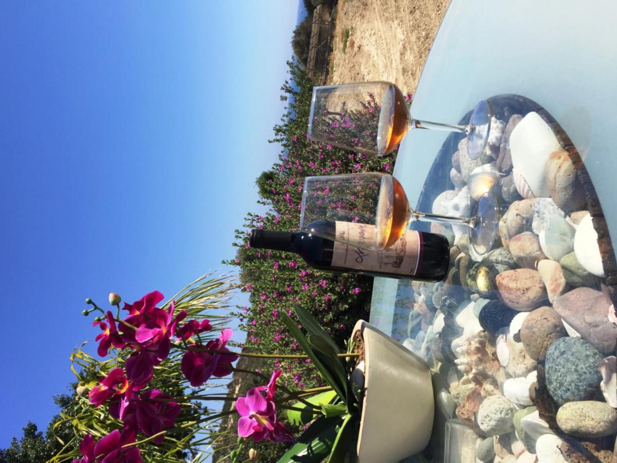 Maroni Paradise Traditional House מראה חיצוני תמונה