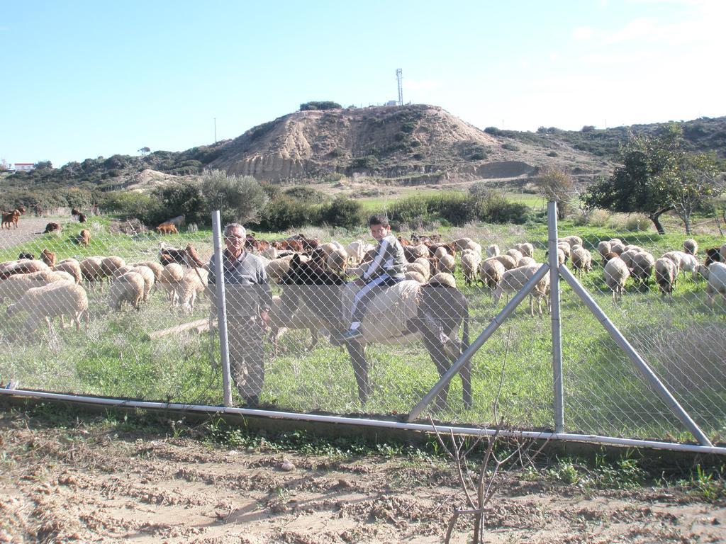 Maroni Paradise Traditional House מראה חיצוני תמונה