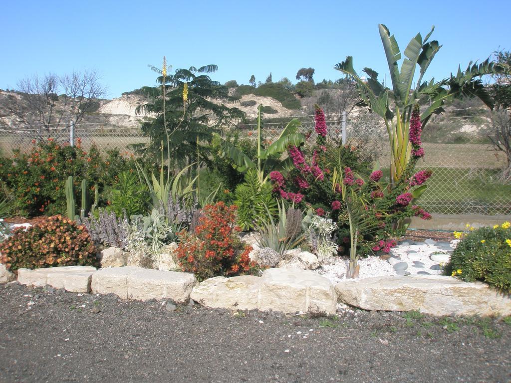 Maroni Paradise Traditional House מראה חיצוני תמונה