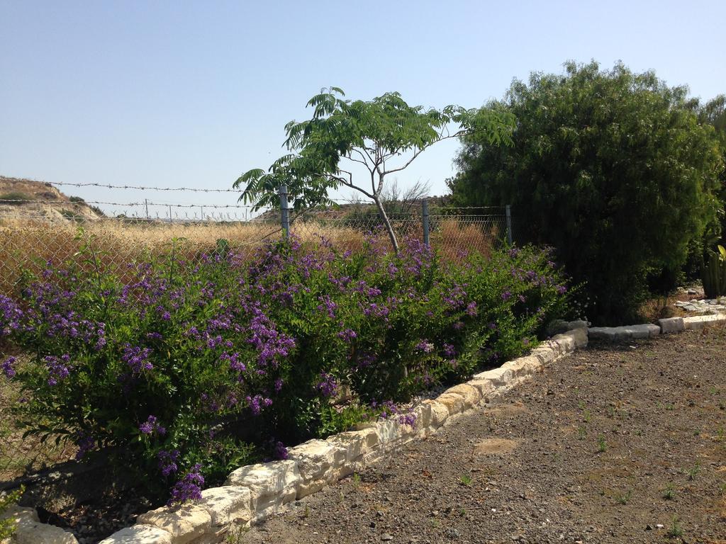 Maroni Paradise Traditional House מראה חיצוני תמונה