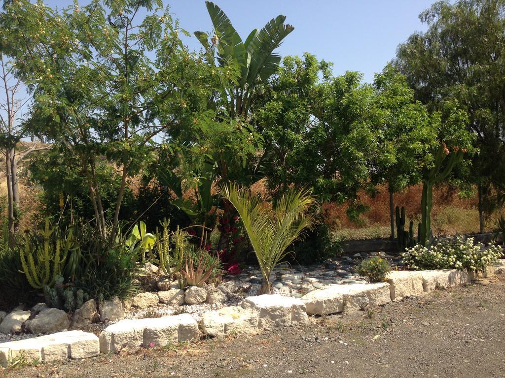 Maroni Paradise Traditional House מראה חיצוני תמונה