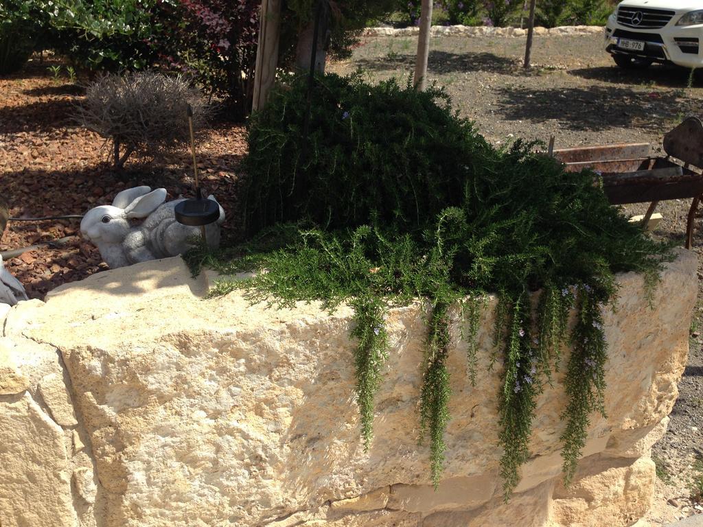 Maroni Paradise Traditional House מראה חיצוני תמונה